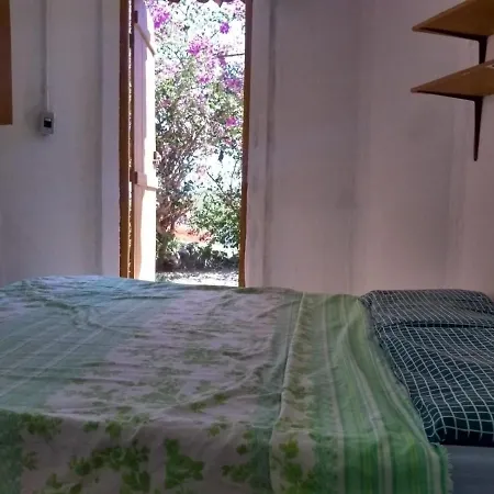 Aldeia Das Flores - Hostel E Camping Jacuma  Exterior photo
