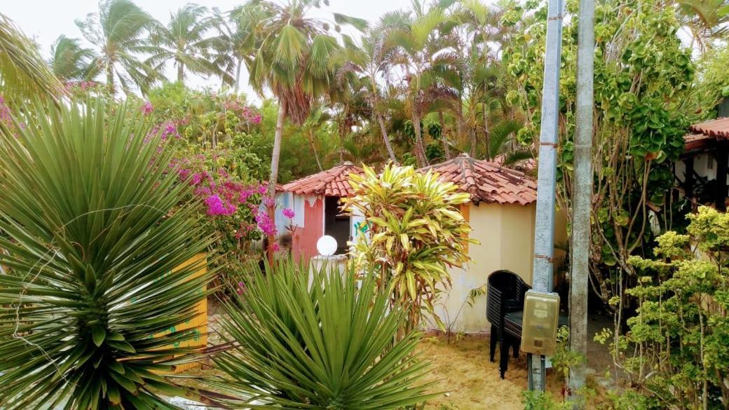 Aldeia Flores - E Jacuma (Paraiba)